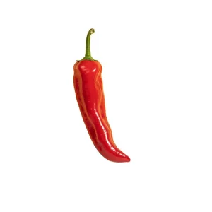 Pepper